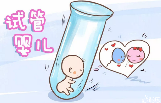 国内第三代试管婴儿技术进展