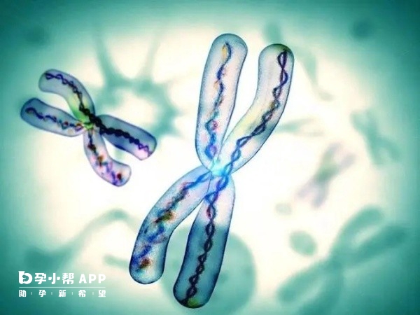 国内试管婴儿三代胚胎植入前遗传学诊断技术应用现状